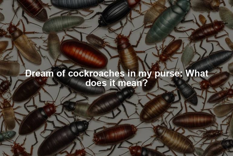 Dream of cockroaches in my purse: What does it mean?