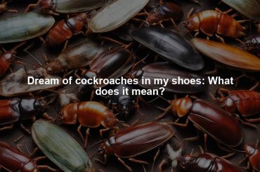 Dream of cockroaches in my shoes: What does it mean?