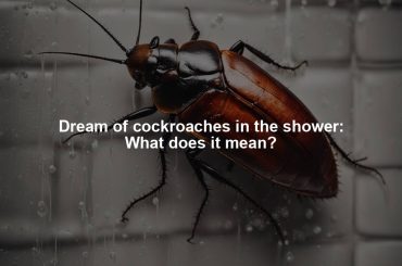 Dream of cockroaches in the shower: What does it mean?