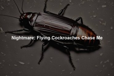 Nightmare: Flying Cockroaches Chase Me