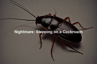 Nightmare: Stepping on a Cockroach