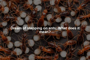 Dream of stepping on ants: What does it mean?