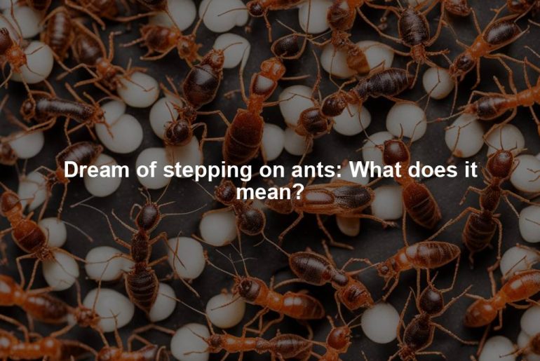 Dream of stepping on ants: What does it mean?