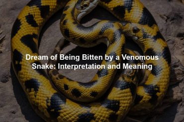 Dream of Being Bitten by a Venomous Snake: Interpretation and Meaning