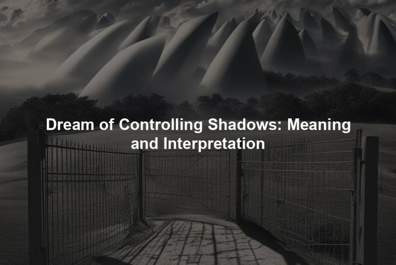 Dream of Controlling Shadows: Meaning and Interpretation