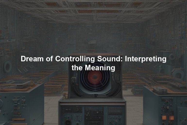 Dream of Controlling Sound: Interpreting the Meaning