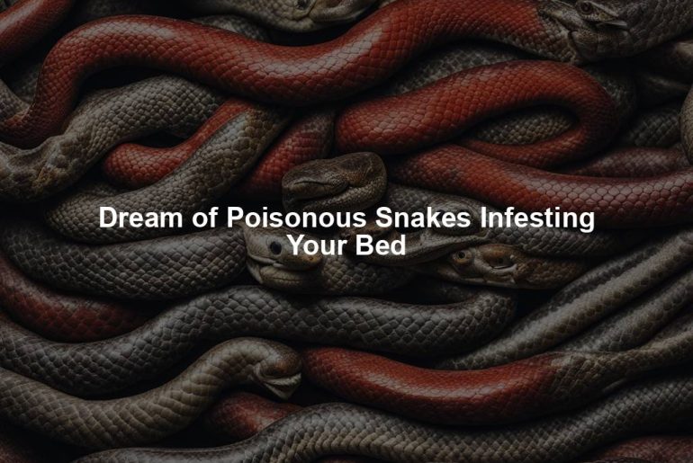 Dream of Poisonous Snakes Infesting Your Bed