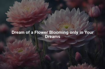 Dream of a Flower Blooming only in Your Dreams