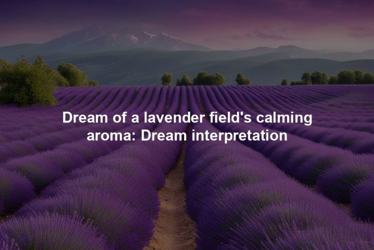 Dream of a lavender field's calming aroma: Dream interpretation