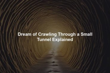 Dream of Crawling Through a Small Tunnel Explained