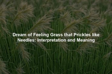 Dream of Feeling Grass that Prickles like Needles: Interpretation and Meaning