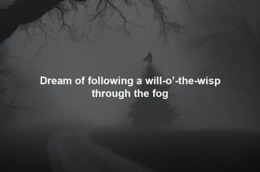 Dream of following a will-o’-the-wisp through the fog