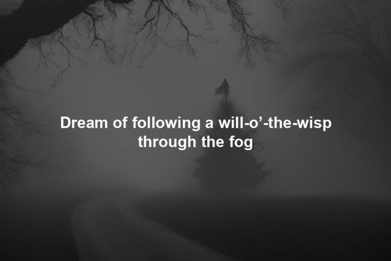 Dream of following a will-o’-the-wisp through the fog