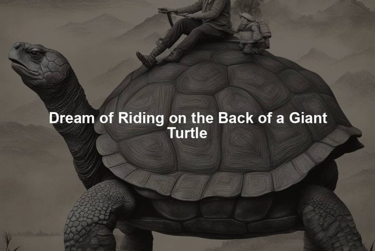 Dream of Riding on the Back of a Giant Turtle