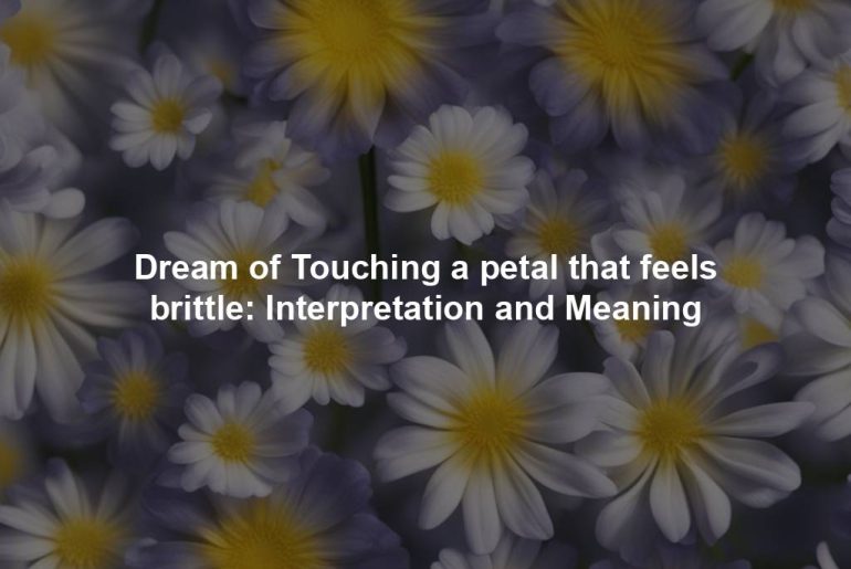 Dream of Touching a petal that feels brittle: Interpretation and Meaning